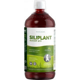 Silicium G7 Siliplant Dinamizat, 1000 ml, Silicium Espana