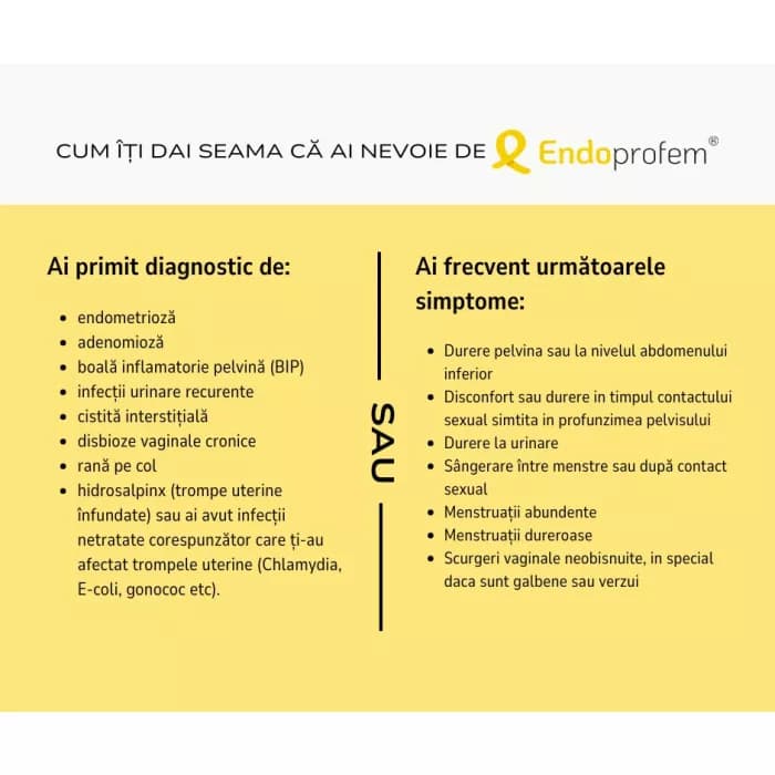 endoprofem-prospect